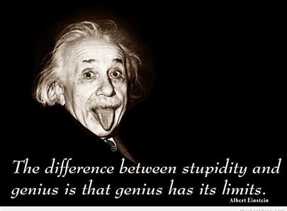 La différence entre la stupidité et le génie c'est que le génie à des limites...